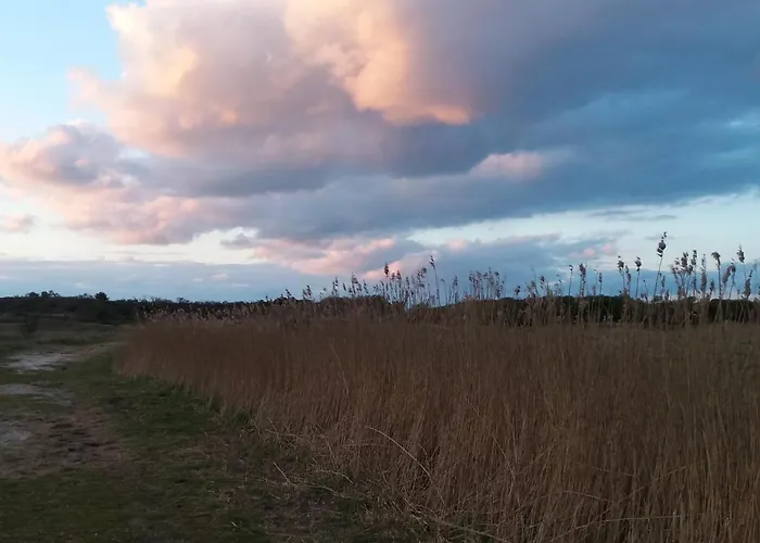 Seevilla Wietjes Whg 4 *